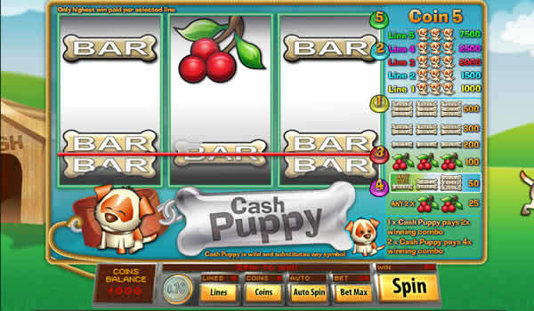 Best saucify casinos online